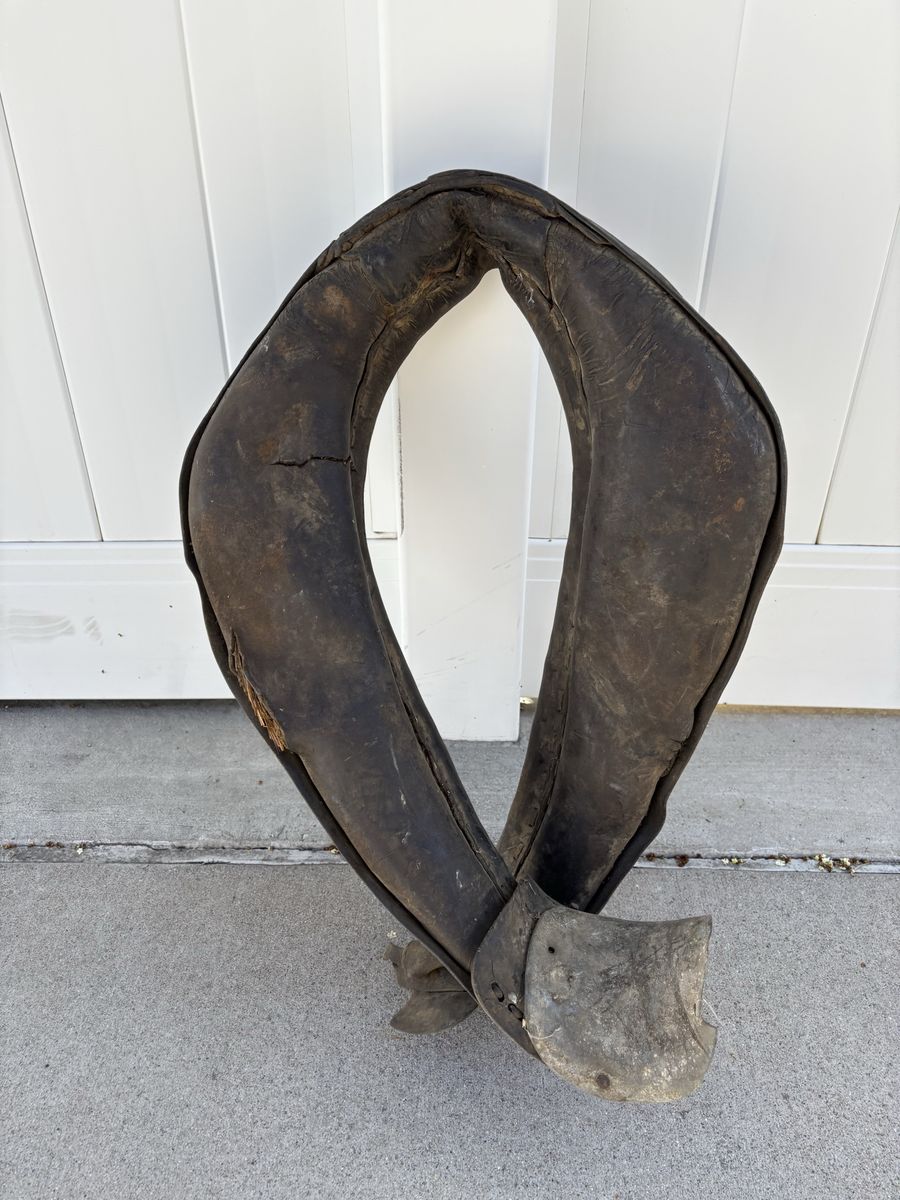 Main image 8