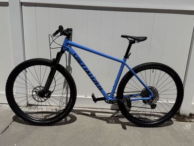 Specialized Rockhopper Mountain Bike