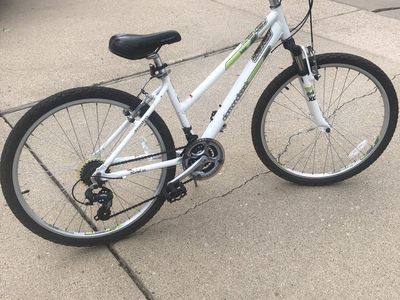 DIAMONDBACK Luster 2