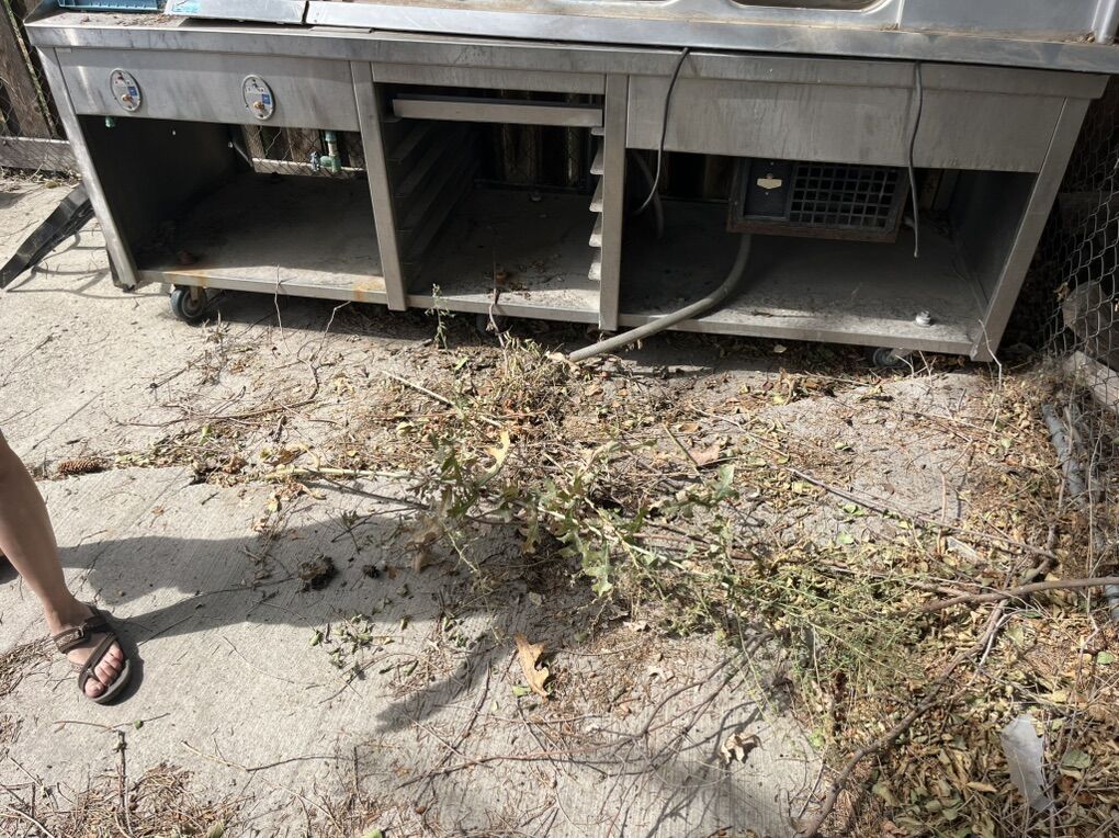 Stainless Steel Hot And Cold Steamer