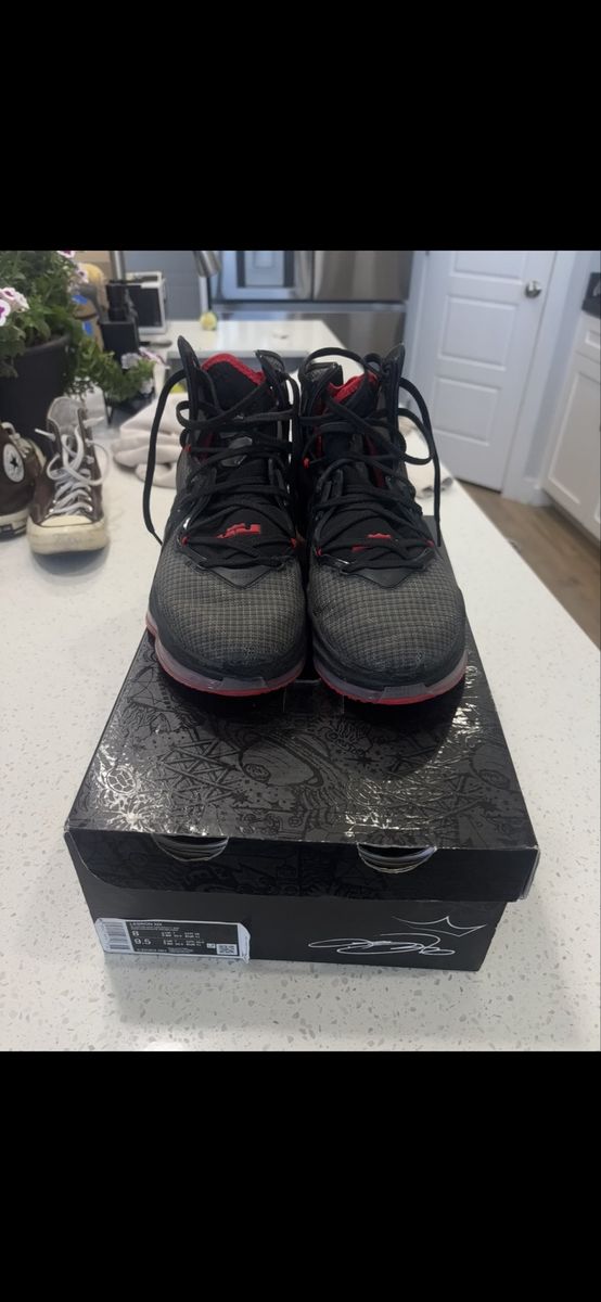 LeBron XIX ( send offers! No set price:)
