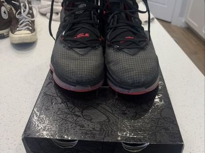 LeBron XIX ( send offers! No set price:)