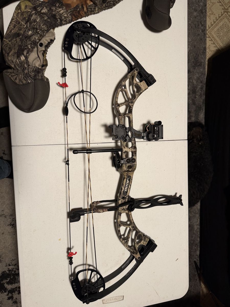 Bear timber 2 bow