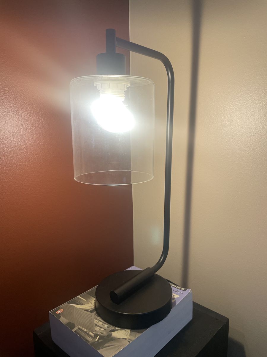 Stylish Modern/Industrial Lamp with Glass Shade