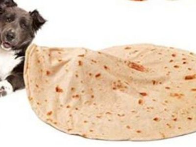Dog Winter Coat Size L, dog toy, dog burrito blanket