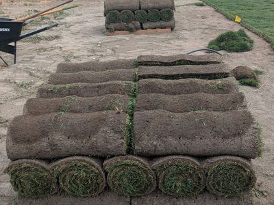 Sod 675 Square feet