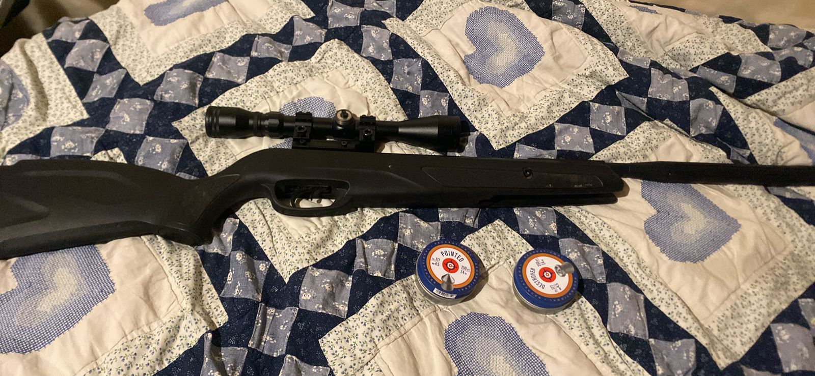 Gamo wildcat whisperer pellet gun