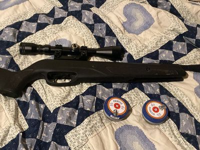 Gamo wildcat whisperer pellet gun