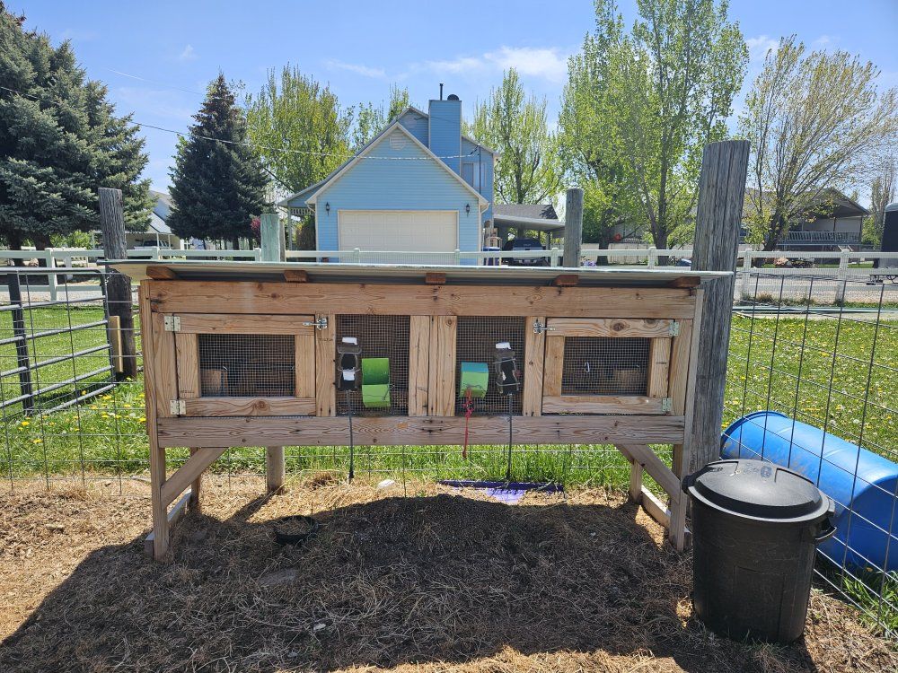 double rabbit hutch
