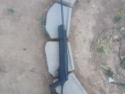 Nucleus Rail System Air Rifle - Black