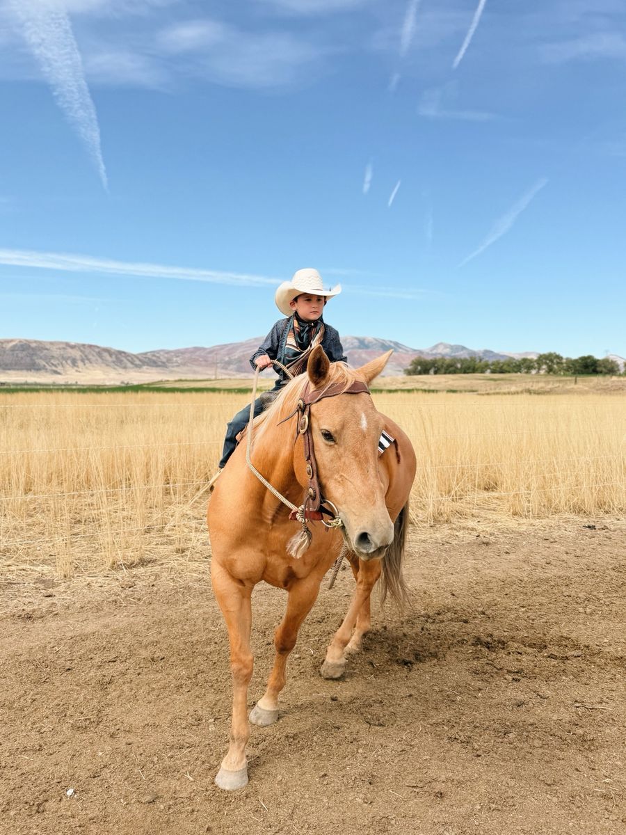 Palomino Mare