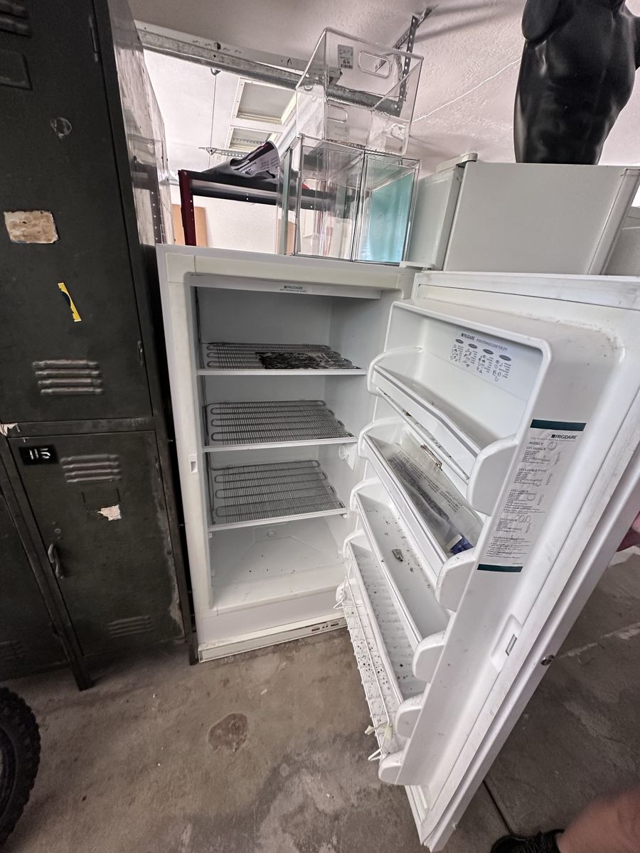 FREE - Frigidaire White Single Door Freezer - decent condition, mold inside