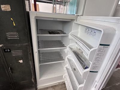 FREE - Frigidaire White Single Door Freezer - decent condition, mold inside