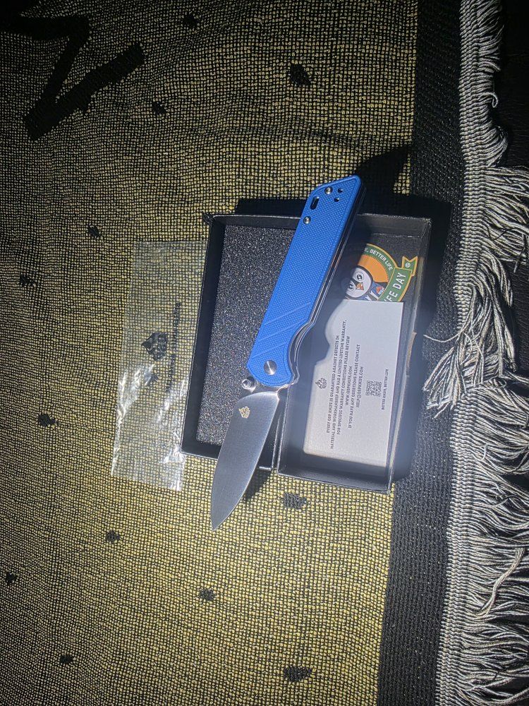 QSP Parrot V2 Liner Lock Pocket Knife D2 Blade Blue G10 Handle *OBO