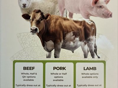 Whole and half Beef & Pork shares