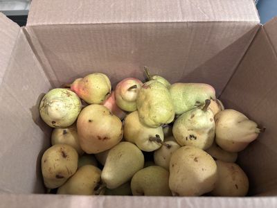 About 1/2 Box Organic Bartlett Pears READ DESCRIPTION