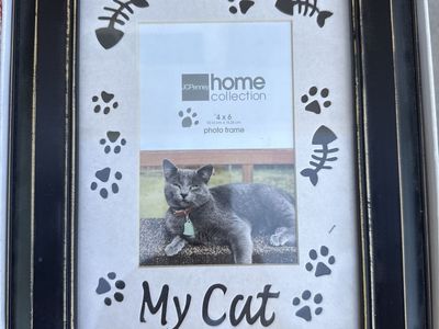 Cat Frame