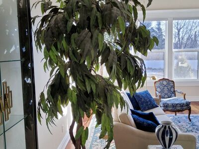 Tree faux/artificial 8'