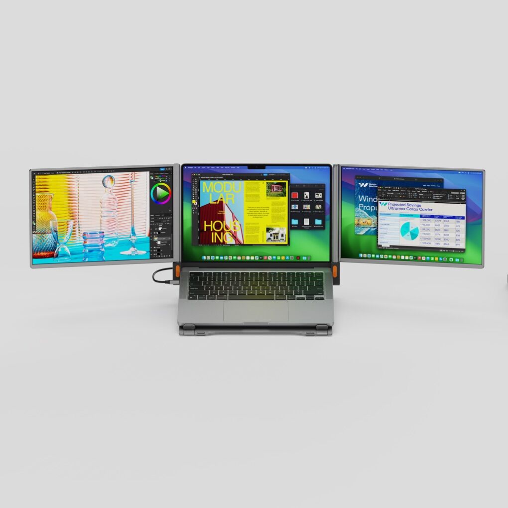 Aceele Spacewalk Dual Mont Monitor Setup