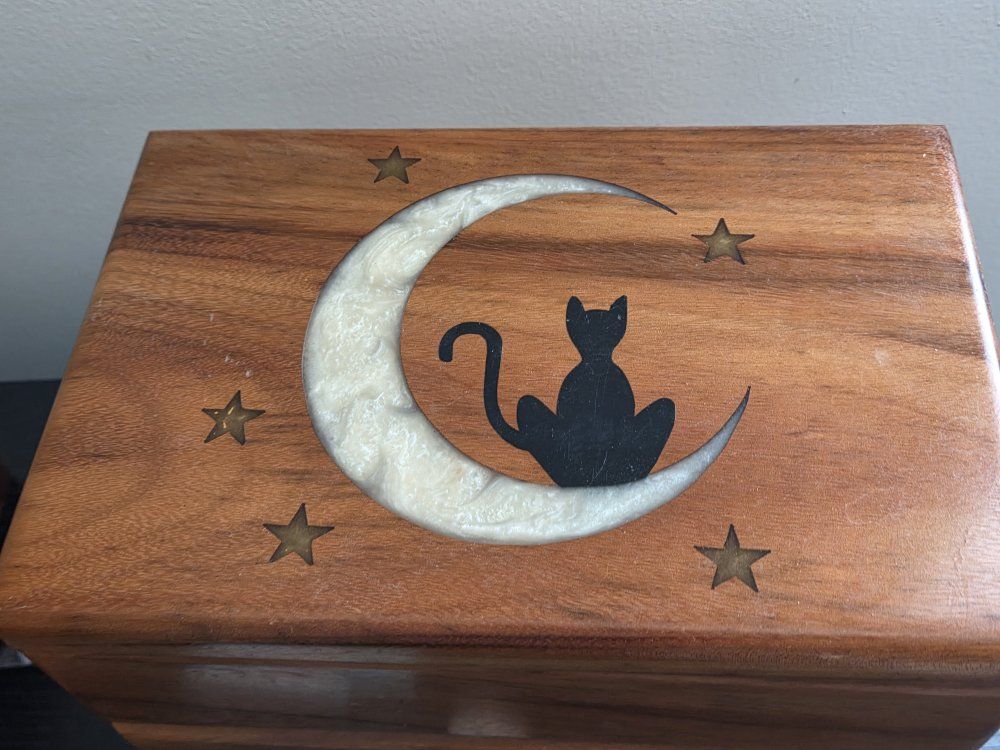 Wooden Cat and Moon Decorative Storage Box with Black Felt Lining