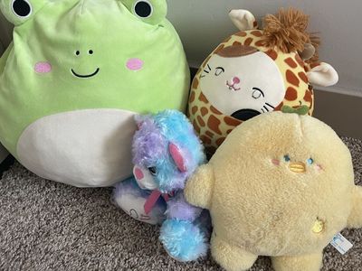 Assorted Plush Stuffed Animal Plushies Lot - Frog Giraffe Bird Bear