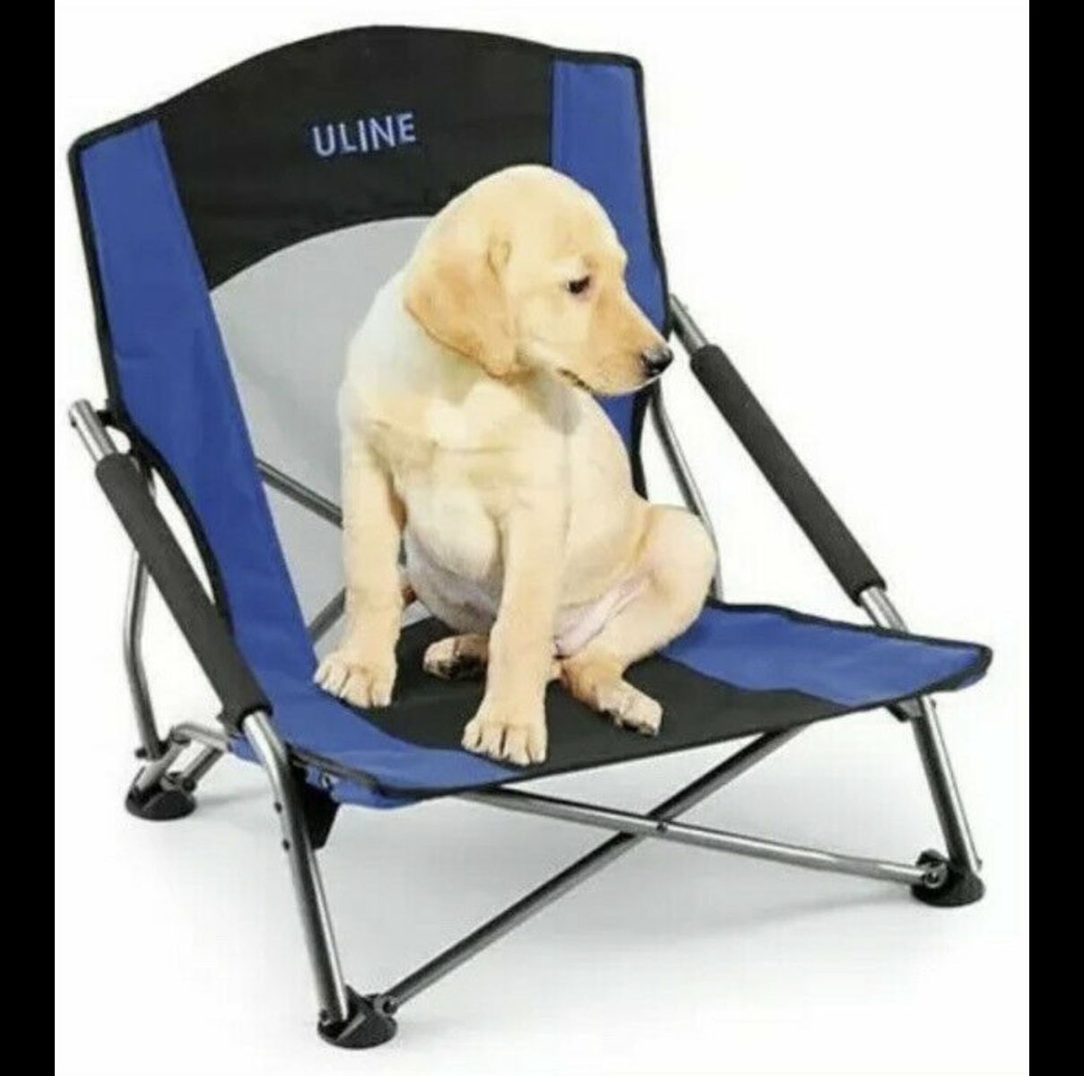 4 NEW Outdoor Event Chair