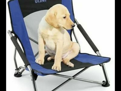 4 NEW Outdoor Event Chair