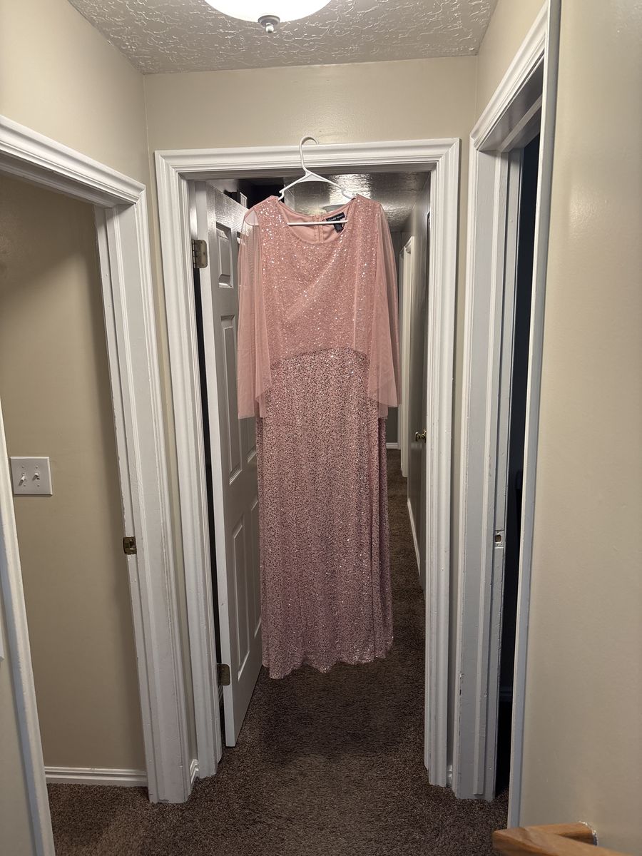 Formal Plus Size Pink Dress - Size 2X