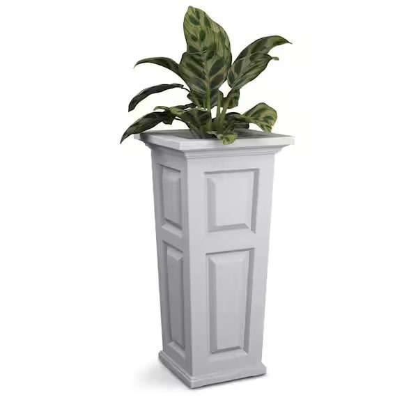 Main image 4
