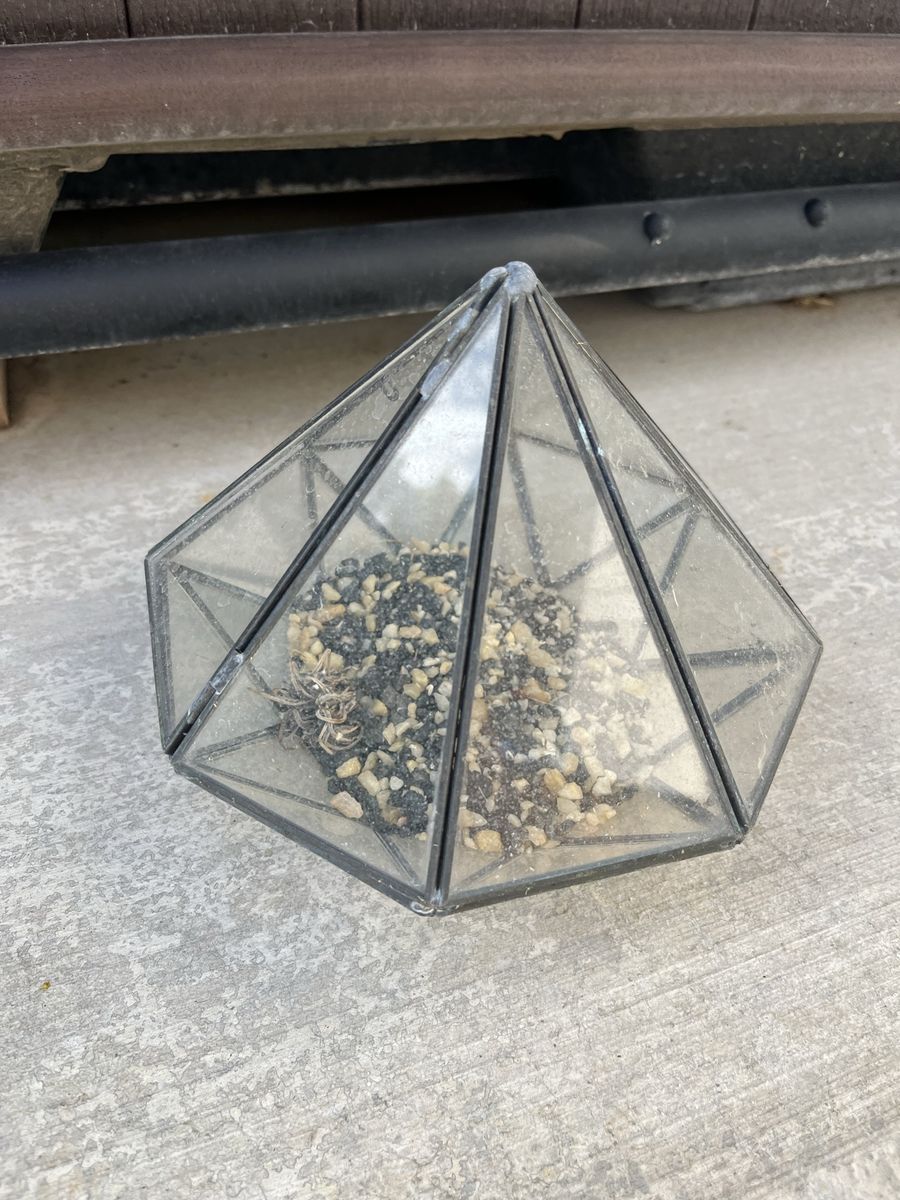Small garden tabletop terrarium that opens up for access.