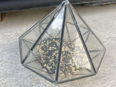 Small garden tabletop terrarium that opens up for access.