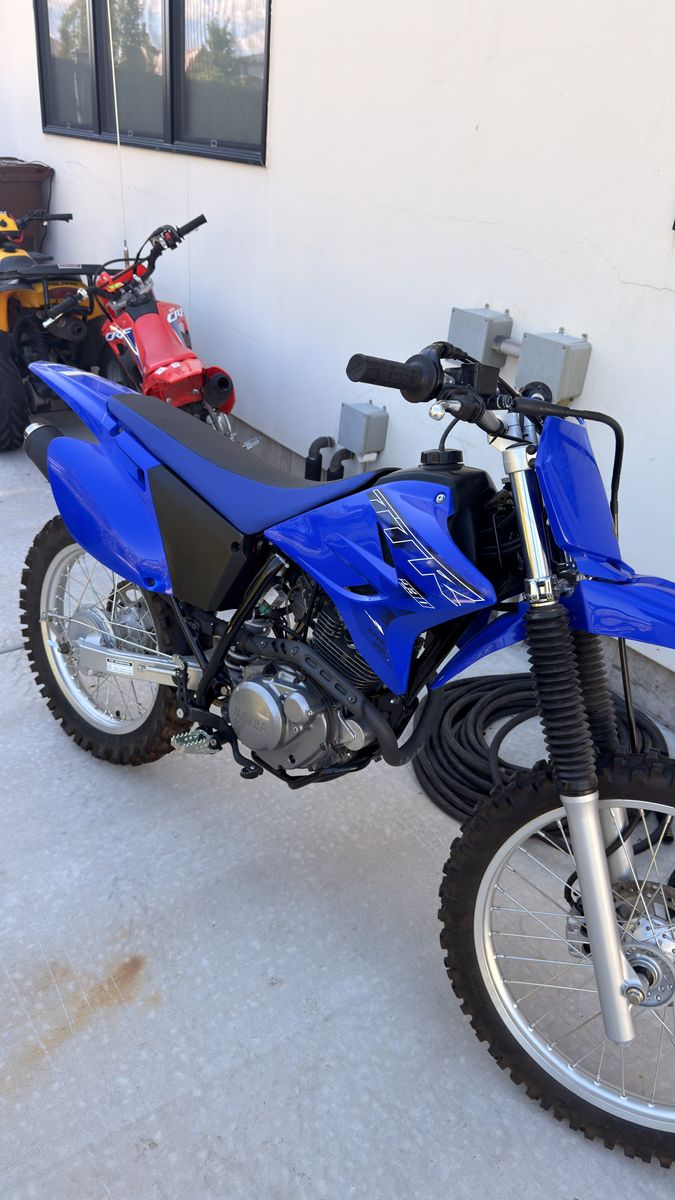 2021 Yamaha TTR230