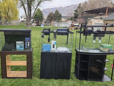 Fish Tanks and Equipment