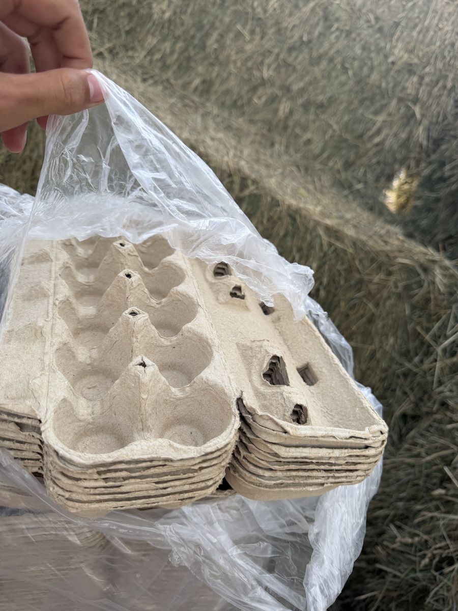 Bulk Pulp Paper Egg Cartons - Used Good Condition