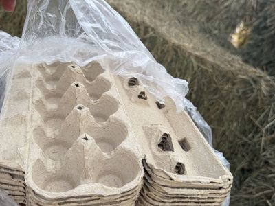 Bulk Pulp Paper Egg Cartons - Used Good Condition