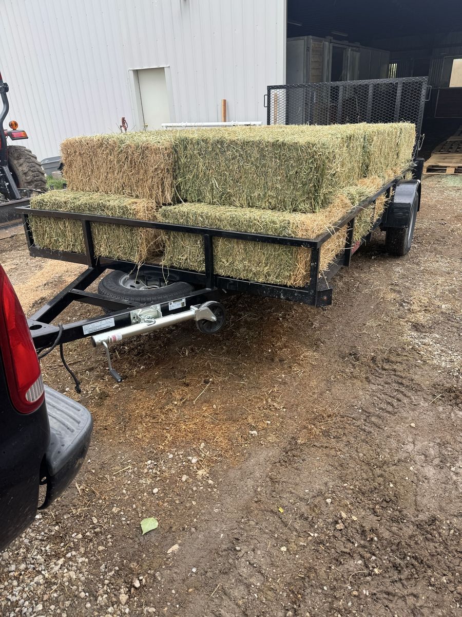 Alfalfa With Local Delivery