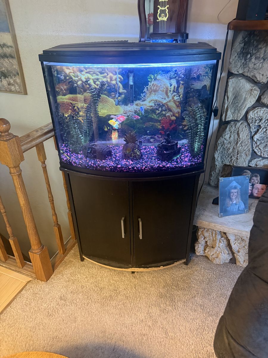 36 Gallon heptagon Fish Tank