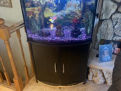36 Gallon heptagon Fish Tank
