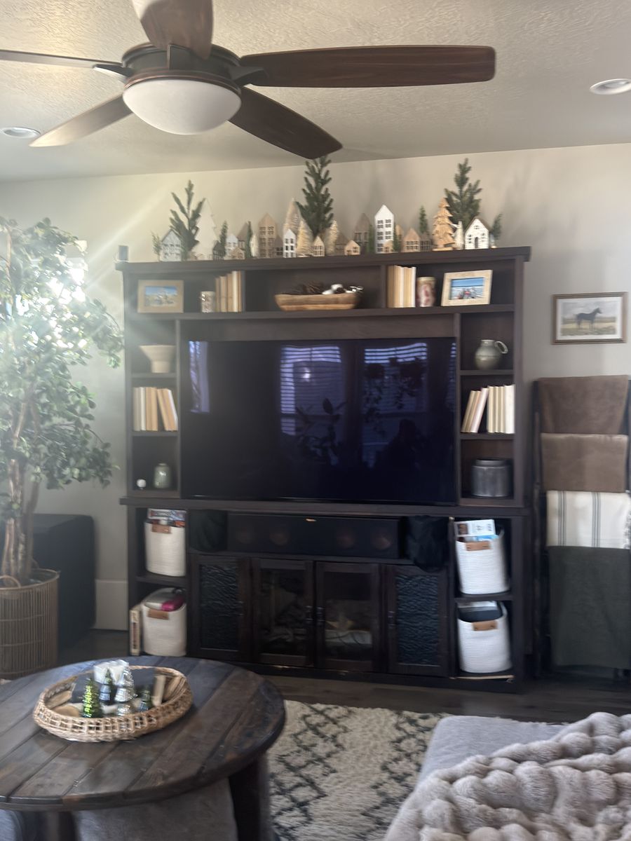 Free entertainment center
