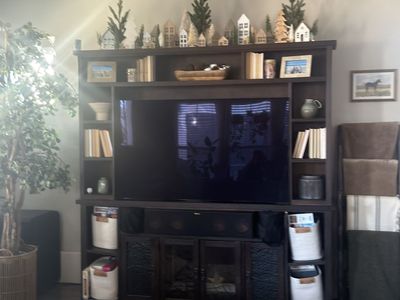 Free entertainment center