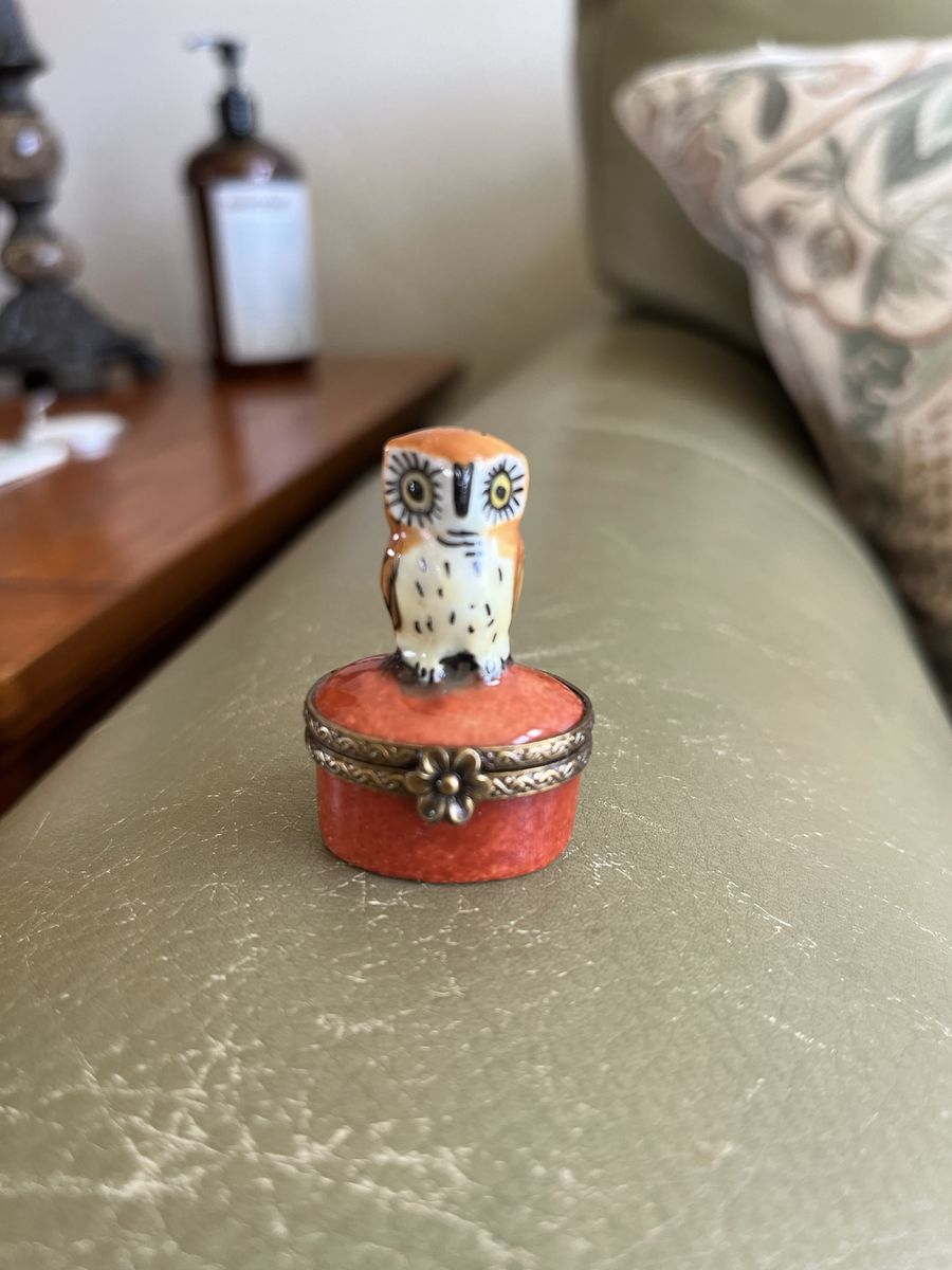 Vintage Limoges Peint Main Porcelain Owl Trinket Box Hand Painted