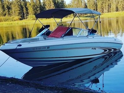 Sea Ray 190