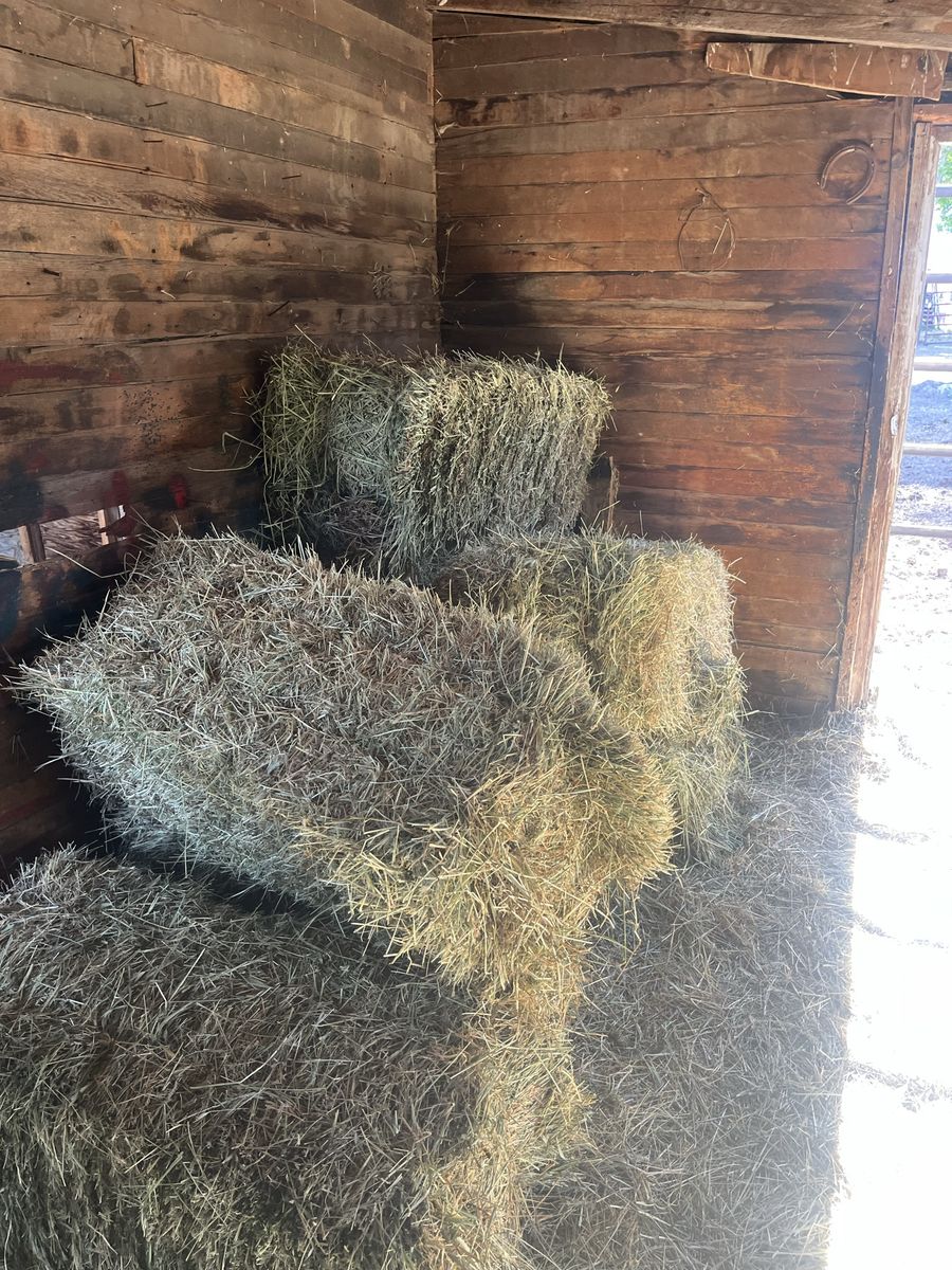 Hay