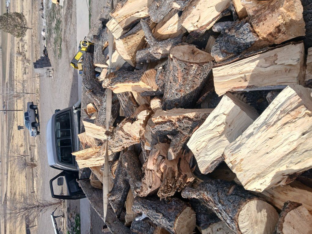 firewood