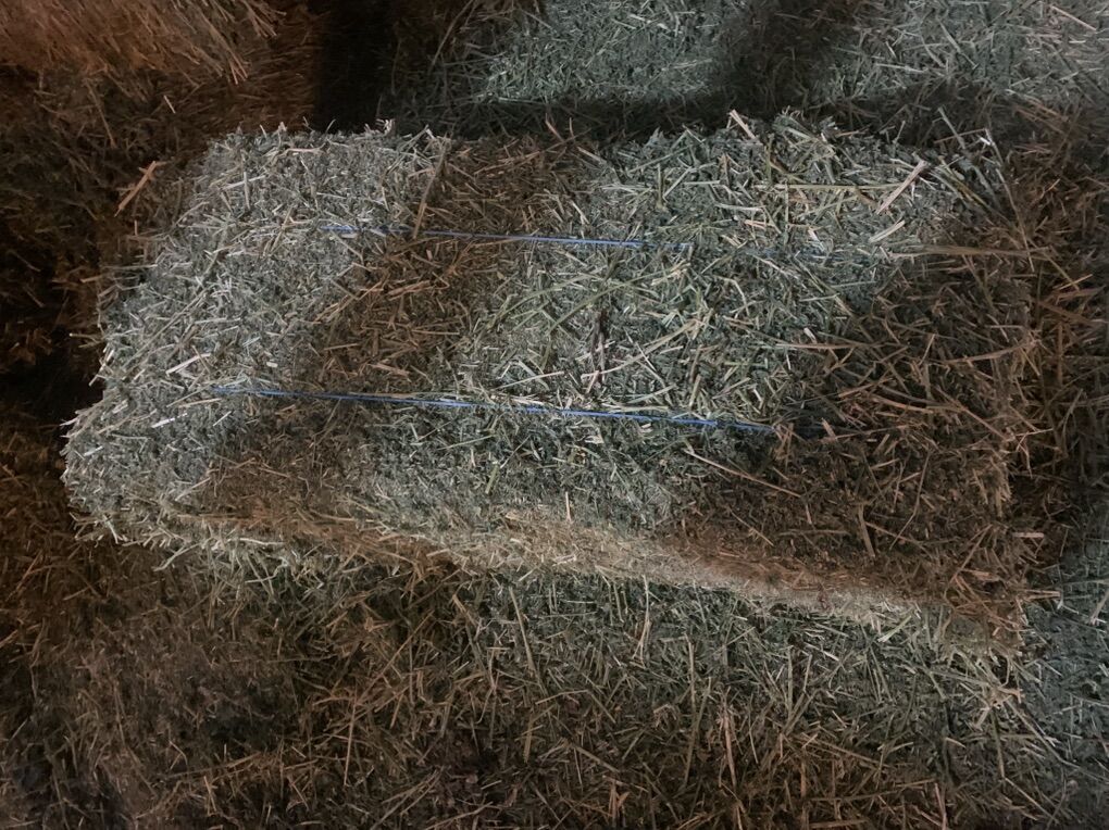 Alfalfa Hay Bales
