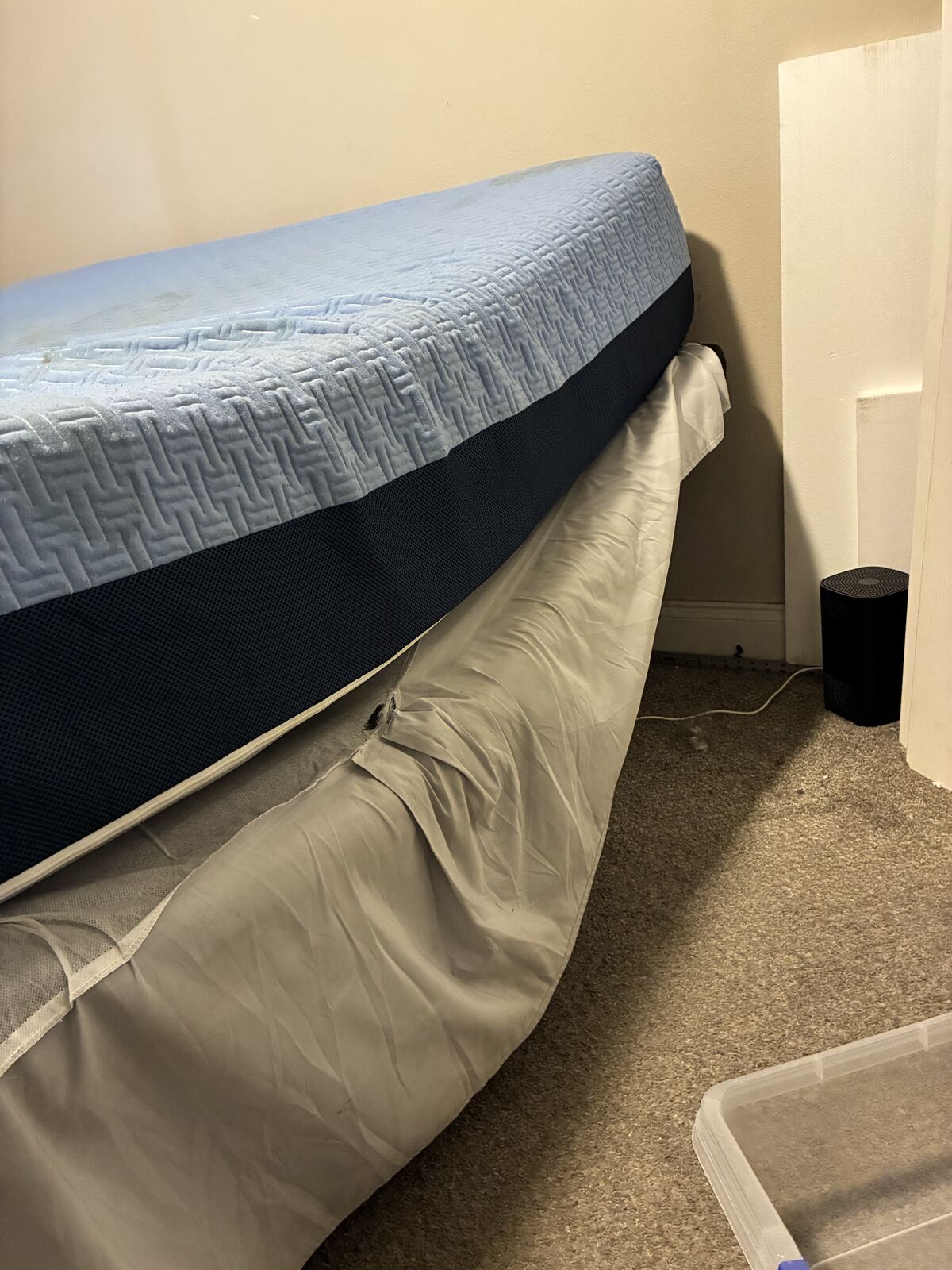 electric bed and couch set