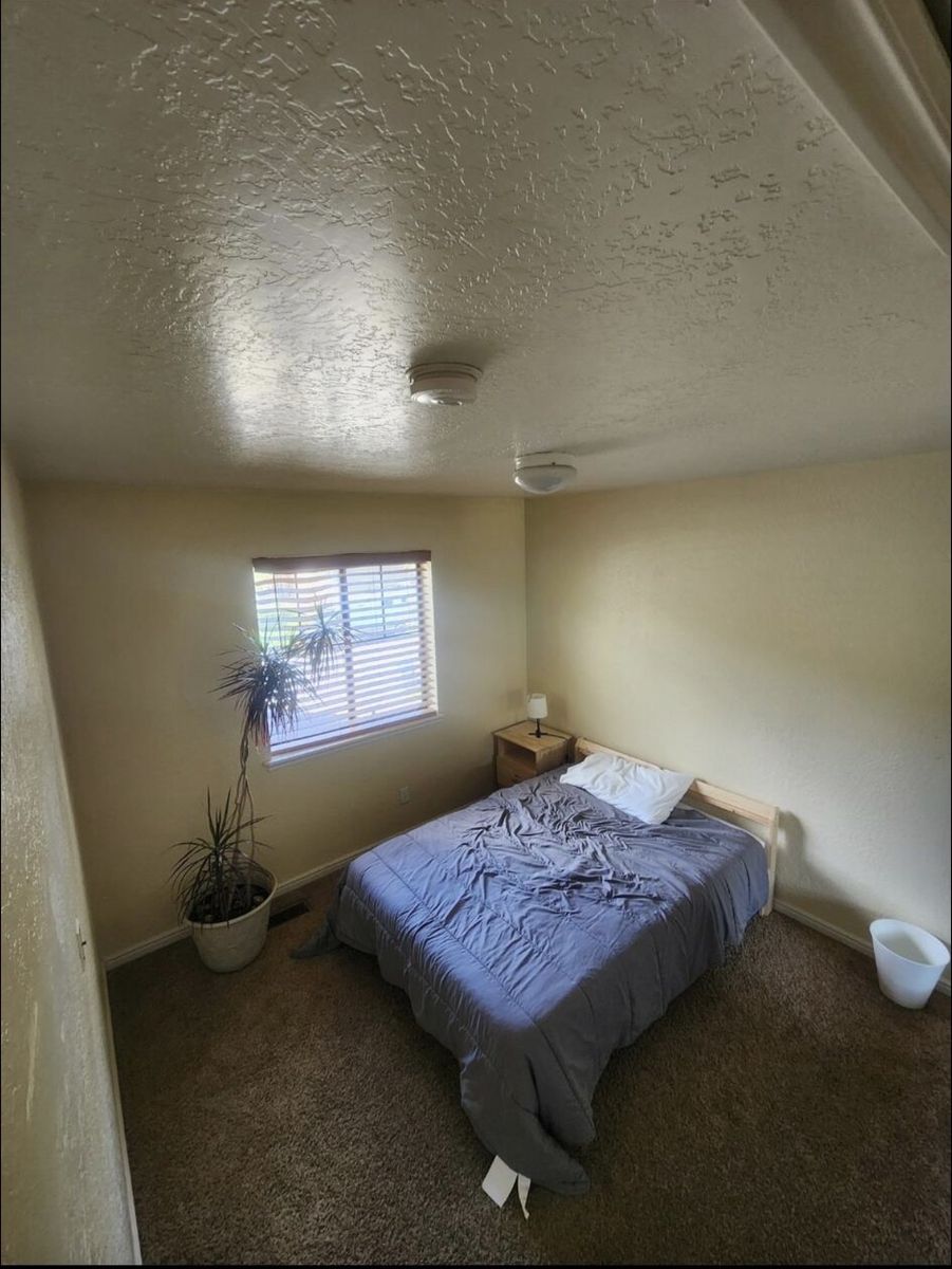 Room for rent in Pinebrook