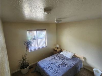 Room for rent in Pinebrook
