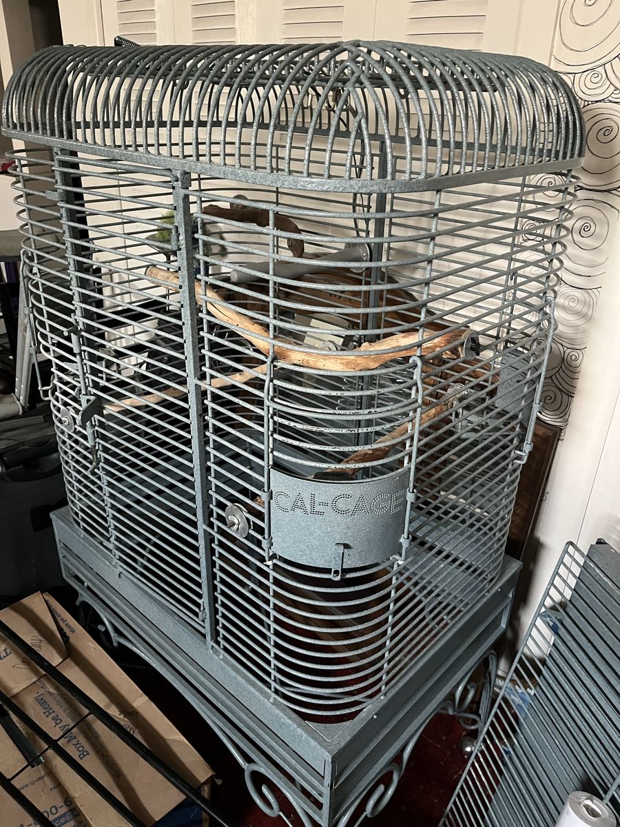 Cal-Cage Large Metal Bird Cage with Stand and Perches