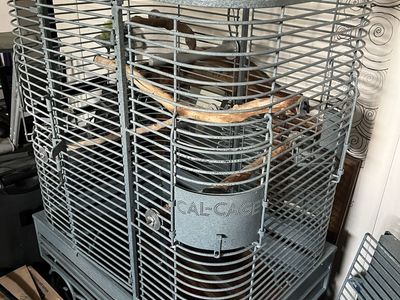 Cal-Cage Large Metal Bird Cage with Stand and Perches